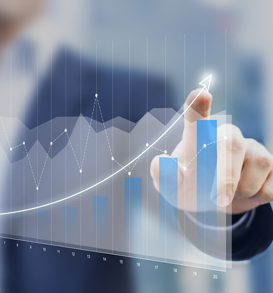 Company Factsheet